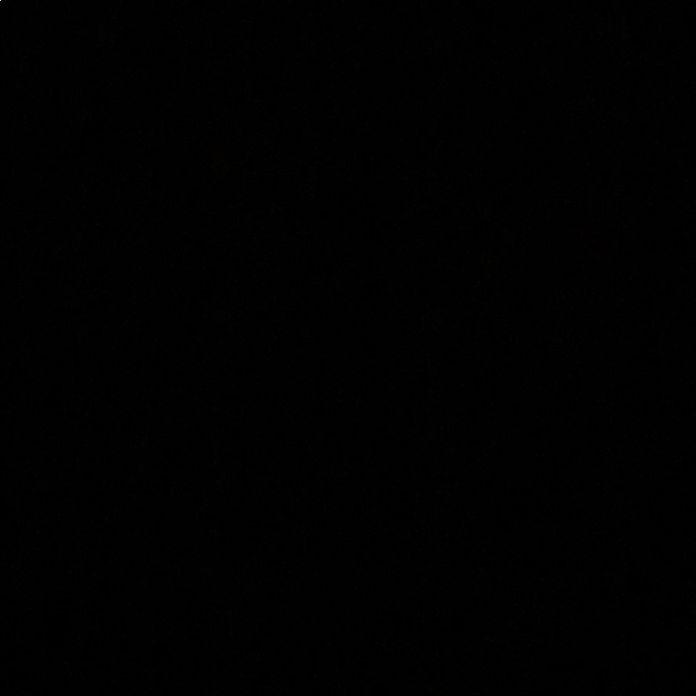 Meet your Posher, Wesley